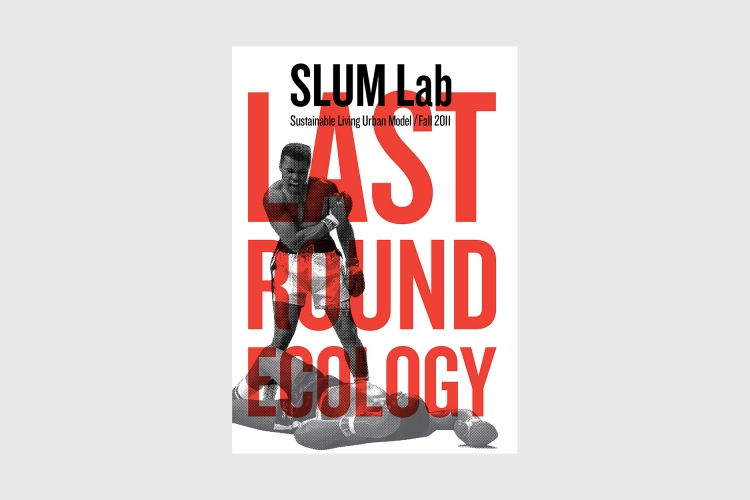 SLUM Lab 6: Last Round Ecology
